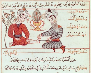 Ms Sup Turc 693 fol.125 Behandlung von Furunkeln und Warzen, 1466